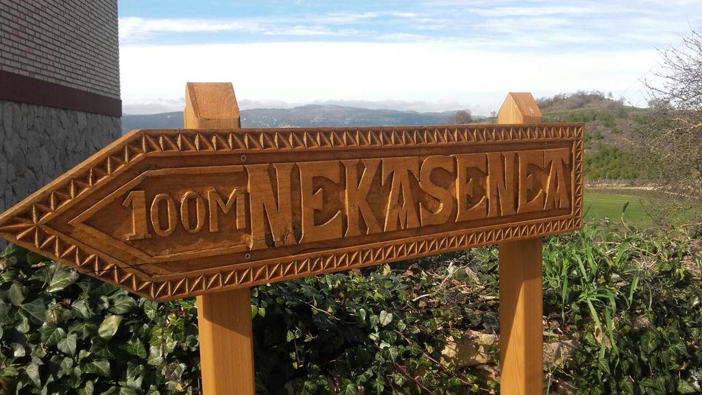 Villa Nekasenea II Garisoain Exterior foto